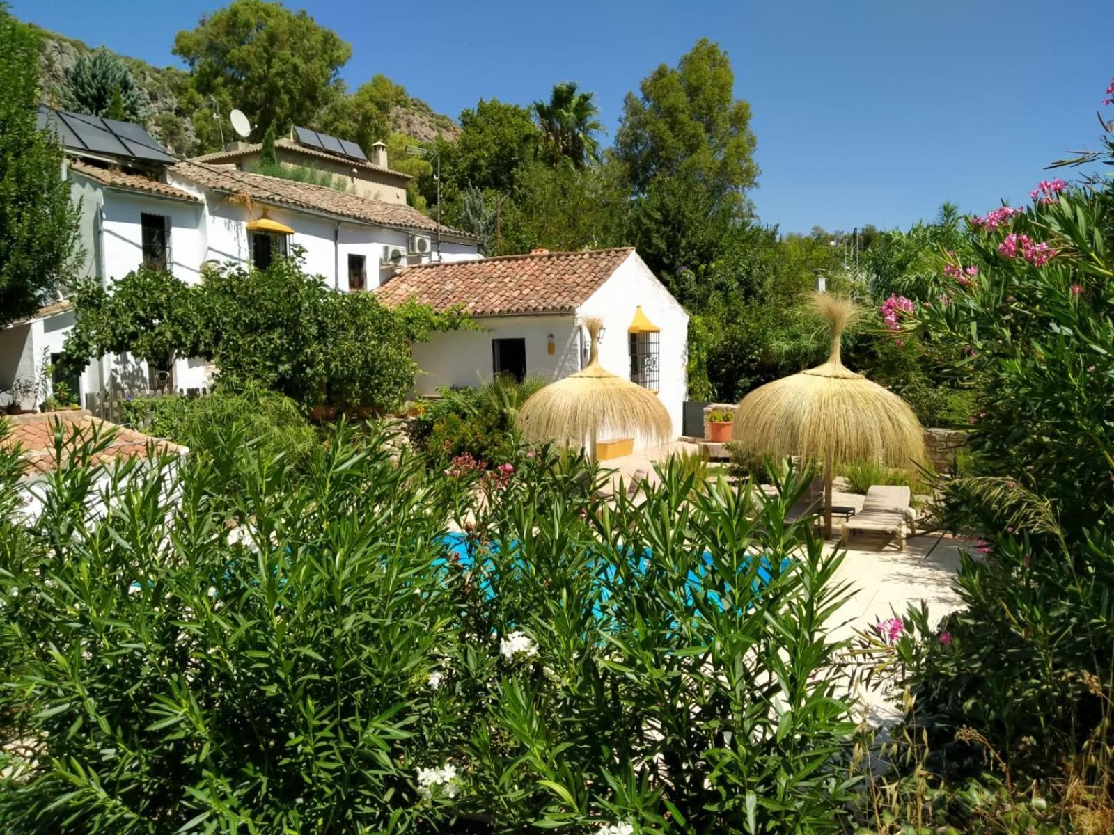 Molino Del Caracol Villa Benaojan Room photo